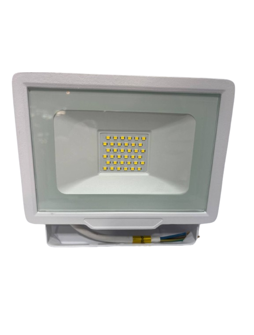 Proiector E008EI 30W 4000K IP65 LuminaLED