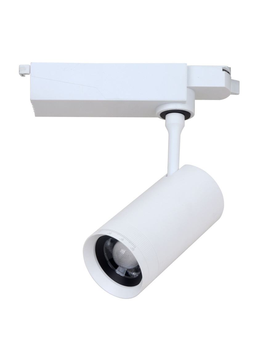 Proiector ZOOM pentru șină track 30W 6000K 220V alb