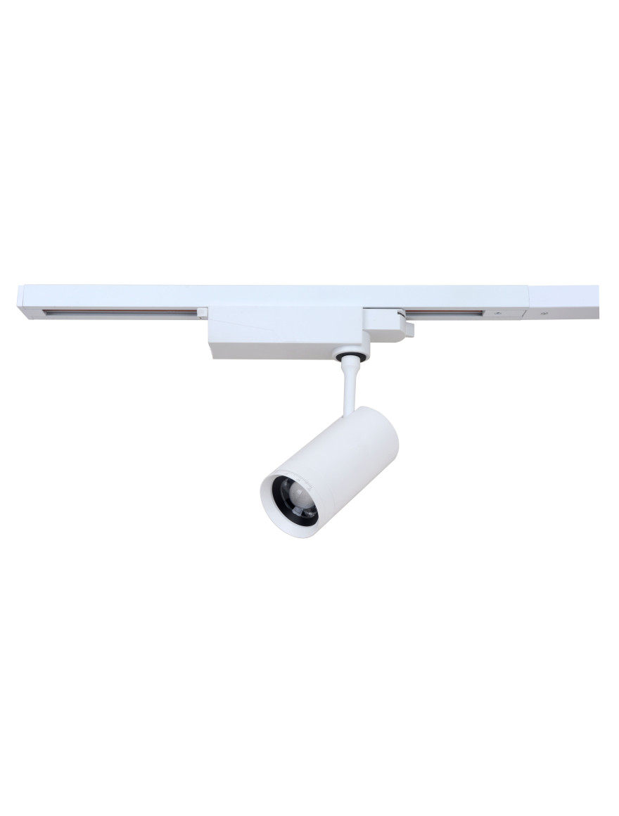 Proiector ZOOM pentru șină track 30W 6000K 220V alb