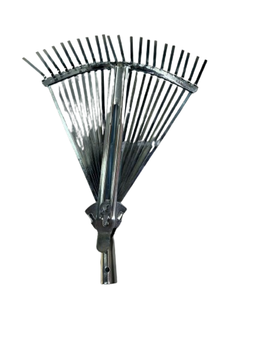 Grebla-evantai fara coada 1828