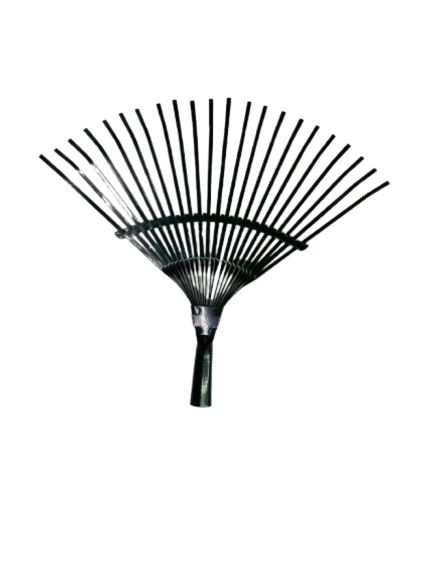 Grebla-evantai fara coada 1830