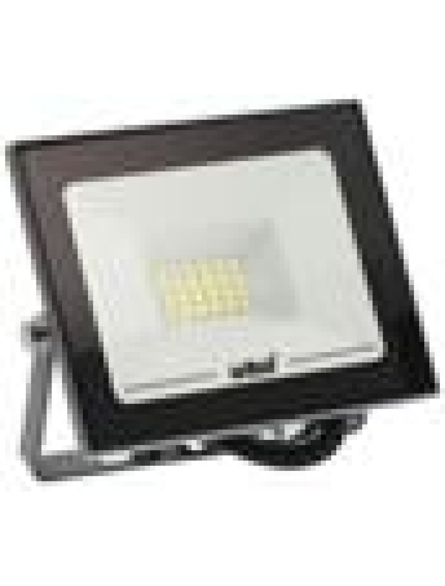 Projector LED Lumină Verde/20W/1700Lm/IP65/antracite/1/24 VITO INDUS GEN3