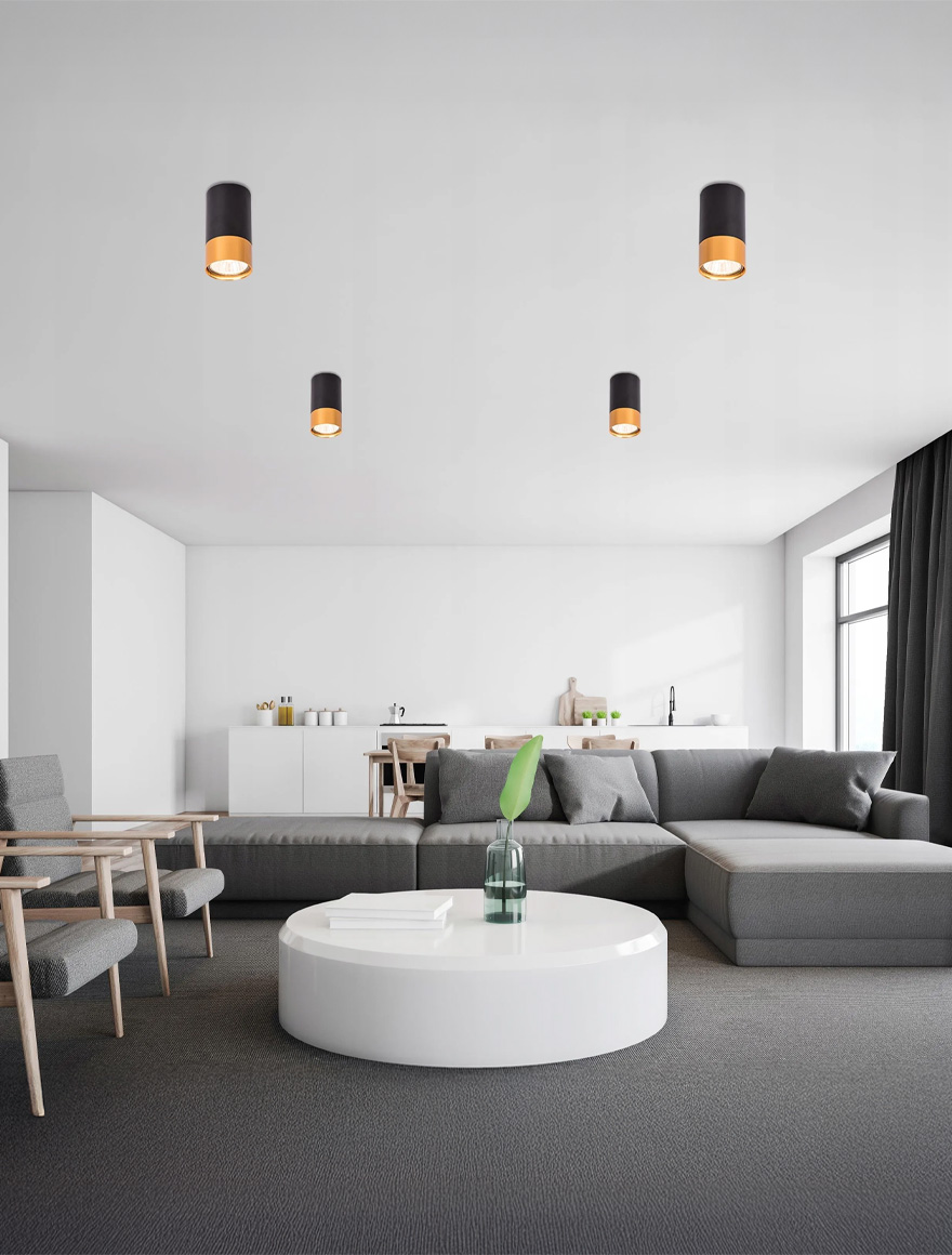 * Spot aplicat 1*GU10 55x100 rotund negru+aur Luminaled