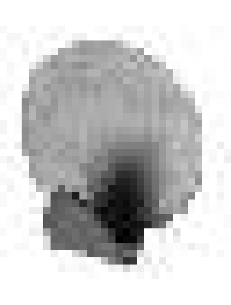 Cuier baie TRENDY ROUND 2 buc