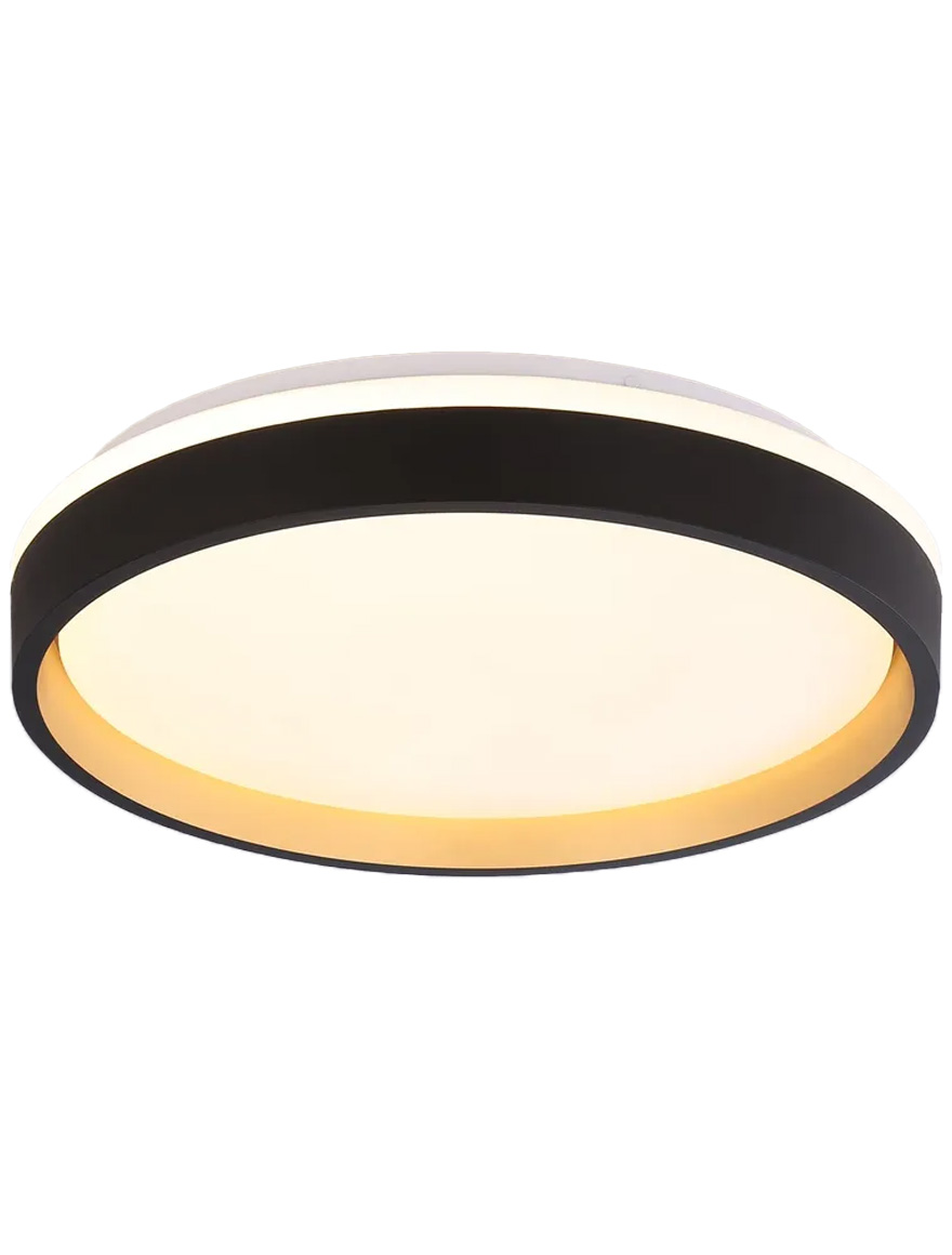 Потолочный светильник LED BRITT 60W, 4000K, 4800 лм, D480 мм, чёрный, Luminaled