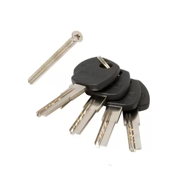 437243 Cilindru sigur 60mm(30/30) 200 cheie-buton alamă 5chei Profmet