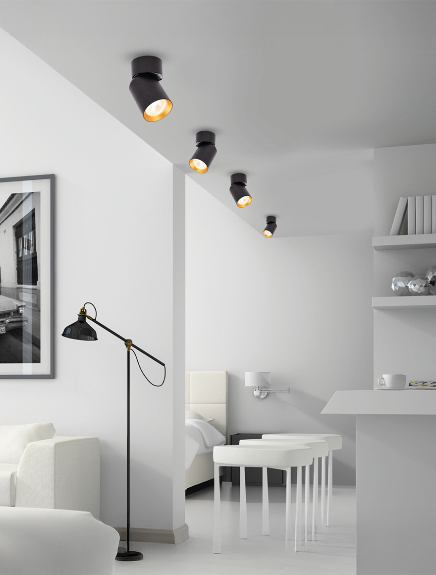 Накладной светильник 1xGU10, 60×100 мм, чёрный + золото, LUMINALED