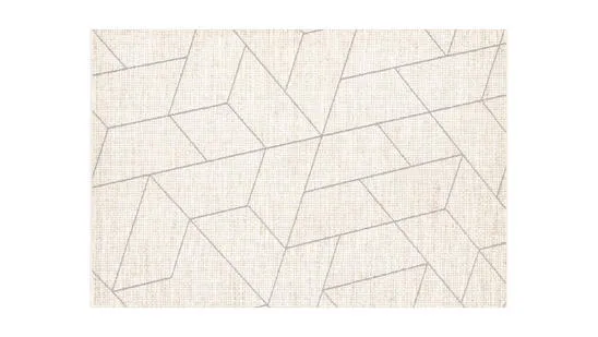 Covor Terra 2.0*2.90 L 18VEV 1K