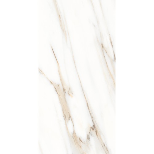 Levis Satuario Polished 60*120/Alice Tiles (46.08) (48.96) GT