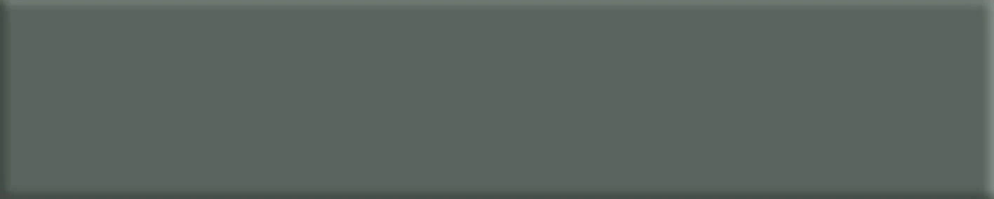 Basic L50 Verde 9.9*49.2/Azulejos El Mijares 1C (61.32)