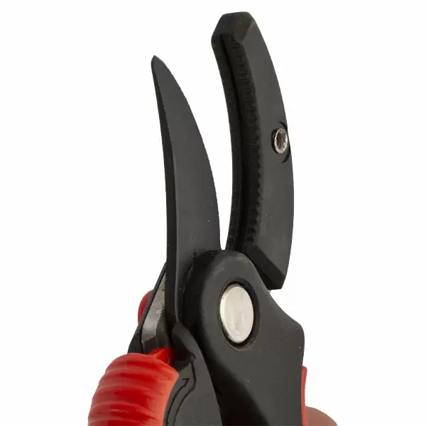 Foarfece de gradina cu fixator din plastic 386101