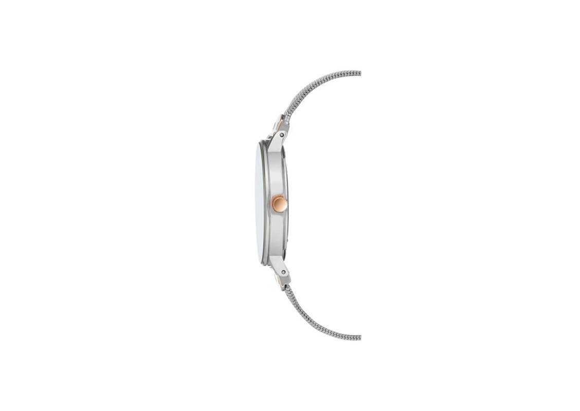 ANNE KLEIN METAL