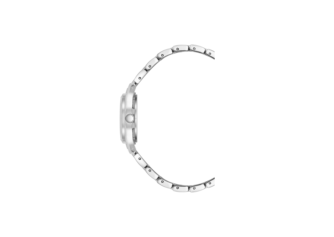 ANNE KLEIN 10/5491MPSV