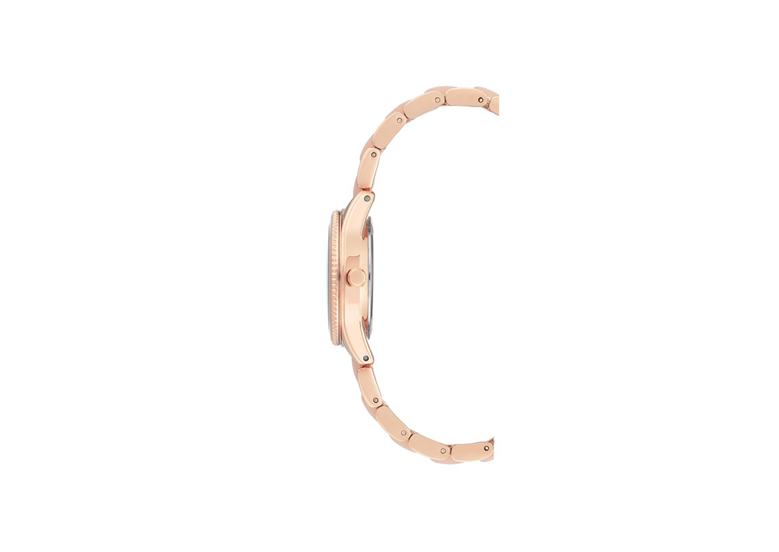 Ceasuri ANNE KLEIN AK/3212LPRG