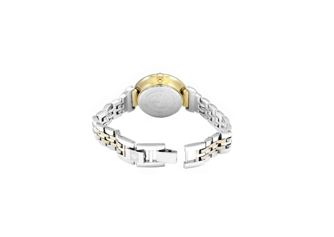 Ceasuri ANNE KLEIN AK/2159SVTT