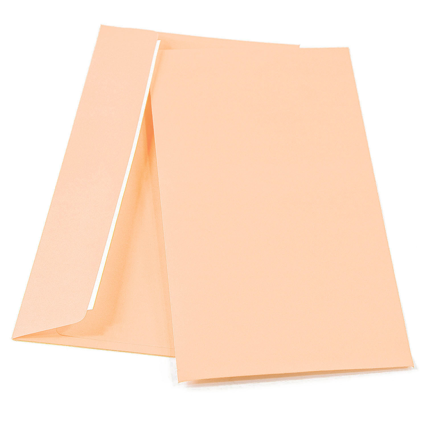 Конверт DL SLK (110*220) [Roz pastelat]