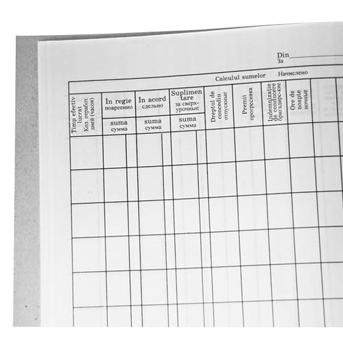 Registru de salariu A4, hirtie ofset, 50 file [Alb]