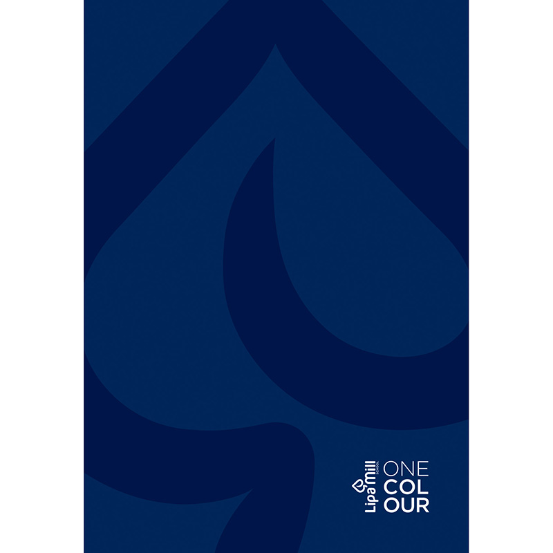 Caiet A4 192 file, coperta laminata solida [Verde]