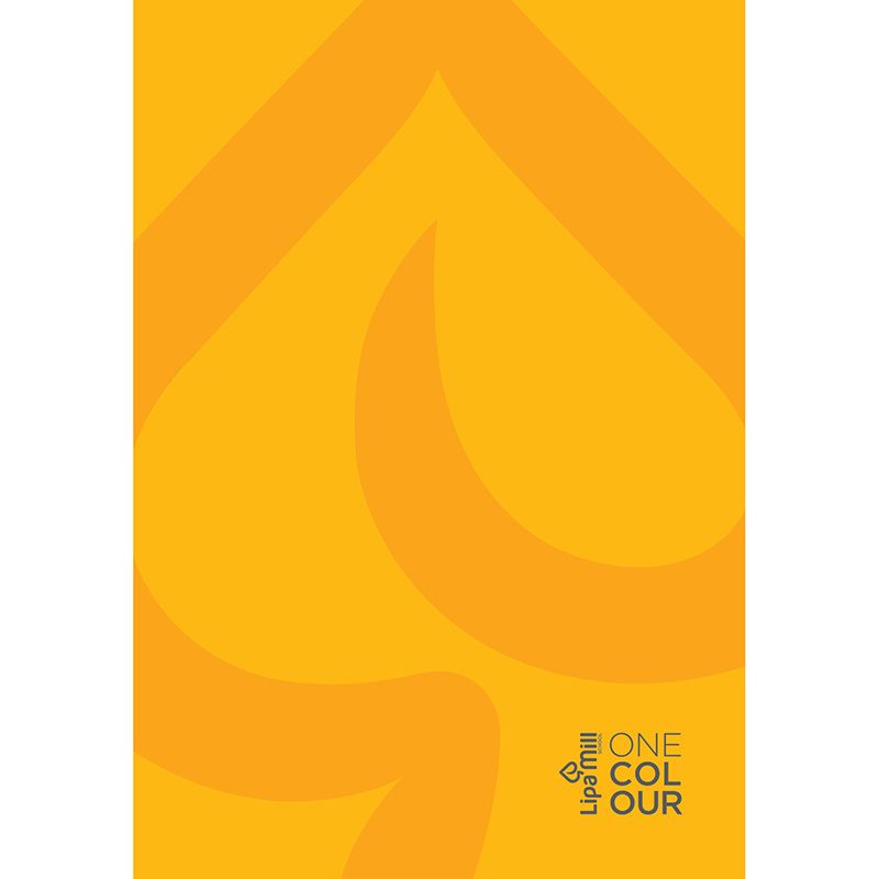 Caiet A4 192 file, coperta laminata solida [Albastru]