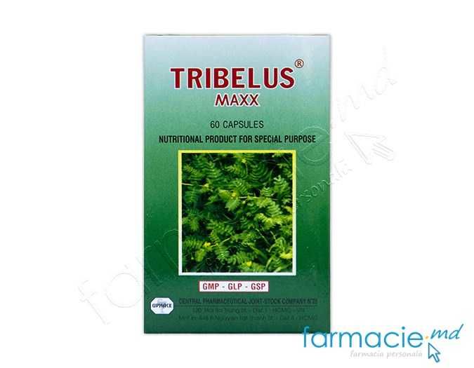 Tribelus Maxx caps. N60 Set 1+(1-50%)