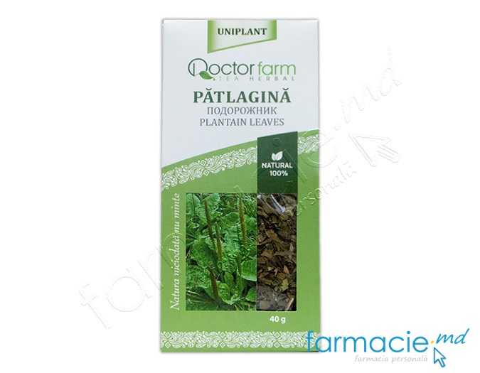 Ceai Patlagina frunze 40g Doctor Farm