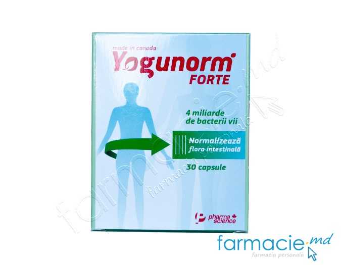 Yogunorm Forte caps. N15x2