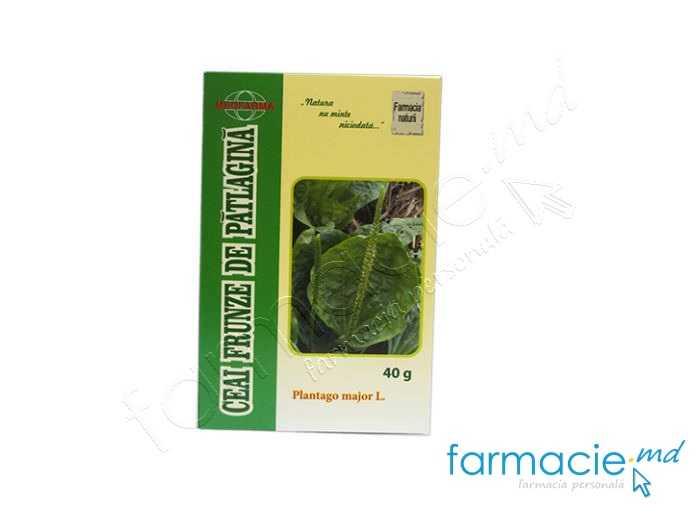 Ceai Patlagina frunze 40g Medfarma (TVA 20%)