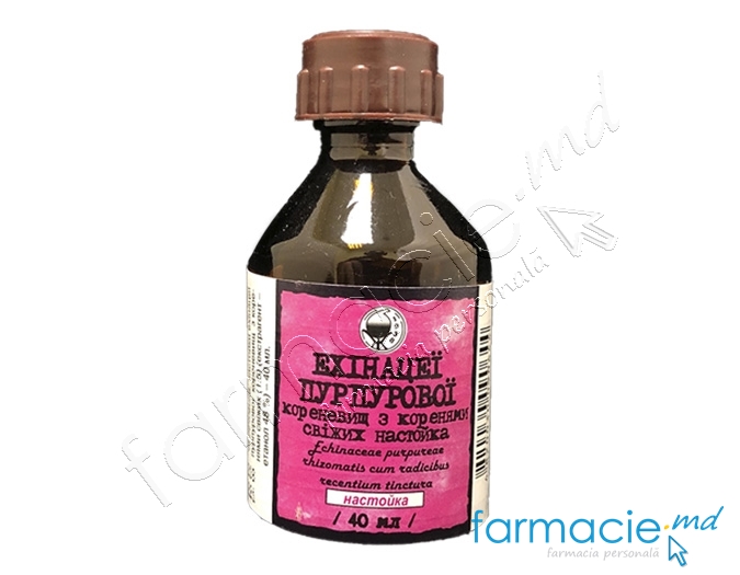 Echinacea tinctura 40ml (Jitomir)