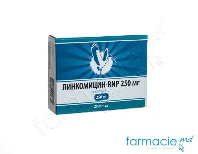 Lincomicin-RNP caps. 250mg N20