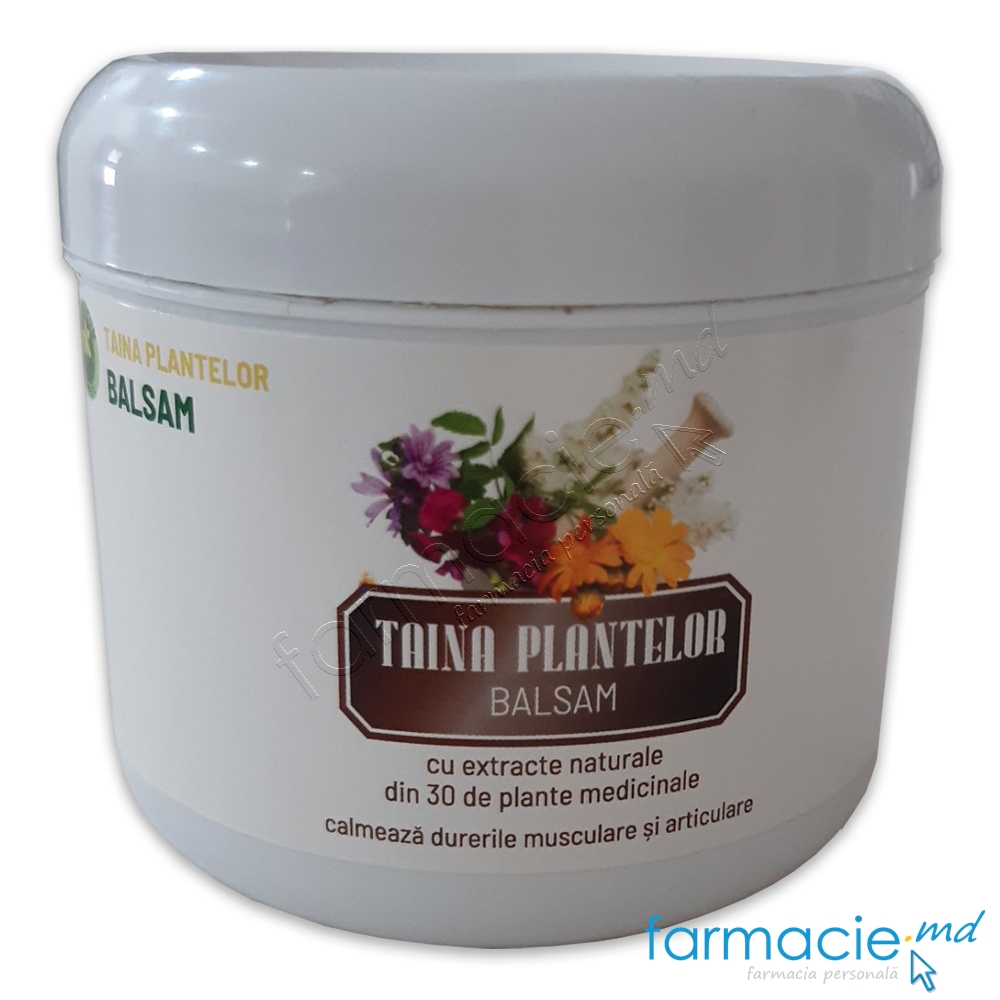 Balsam Taina plantelor 250ml (antireumatic, cicatrizant, hidratant) Hypericum