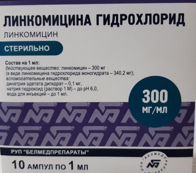 Lincomicina sol.inj. 30% 1ml N10