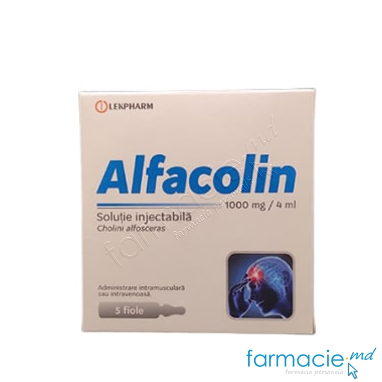 Alfacolin sol.inj.1000mg/4ml N5 Lekpharm