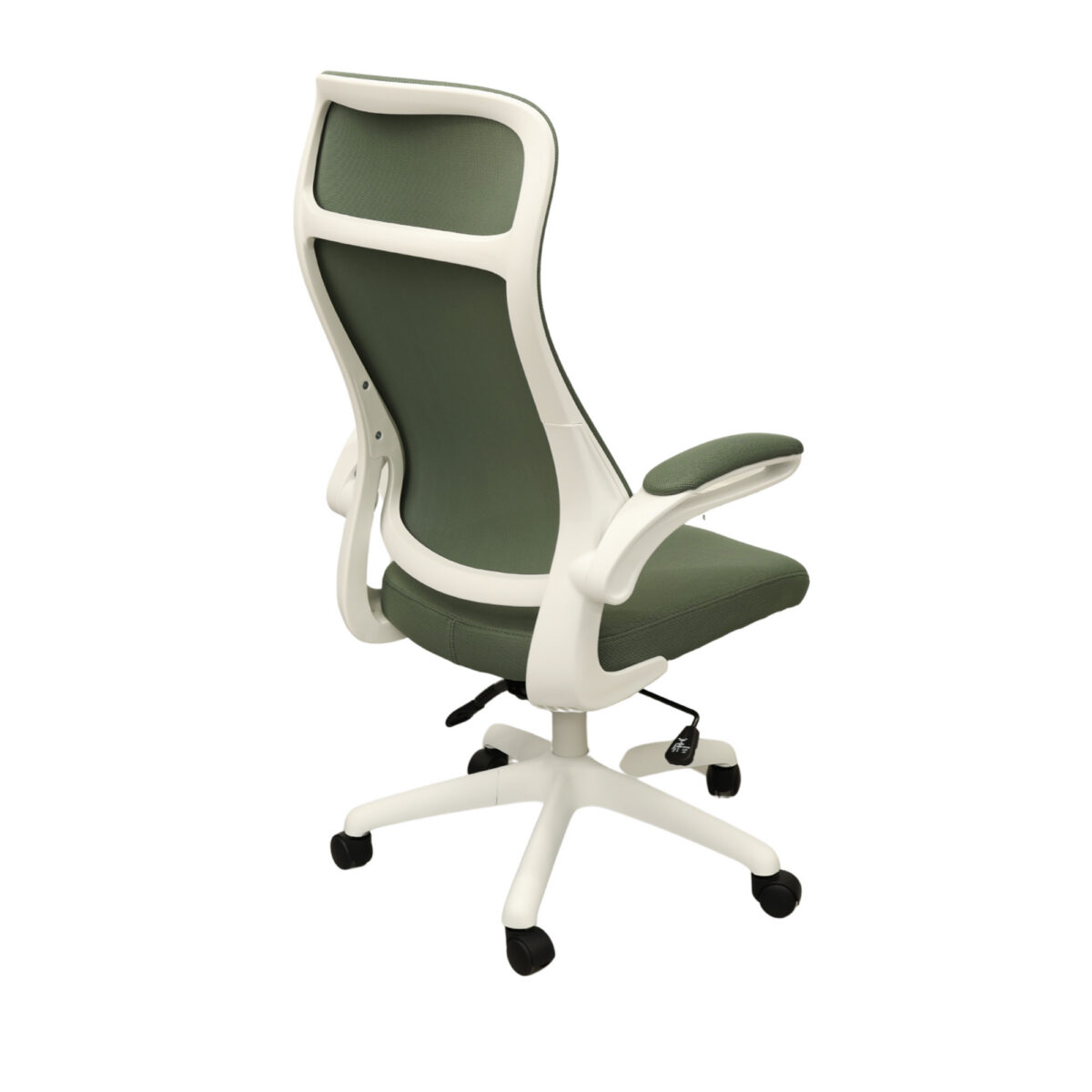 Fotoliu Birou Luis Green