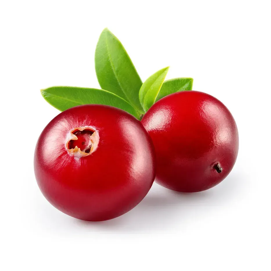 Merișoare (rachițele) uscate, 90g