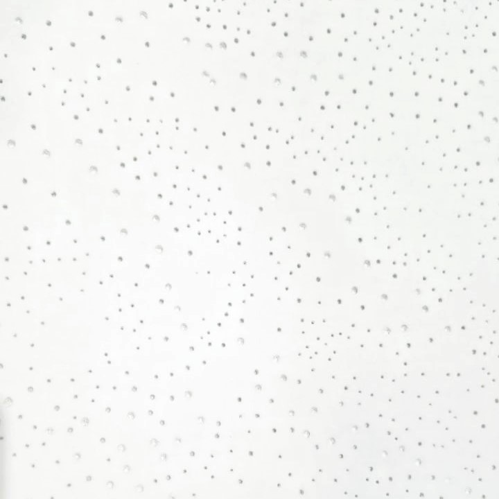 Placă la tavan casetat NEPTUN Tegular, 14 mm