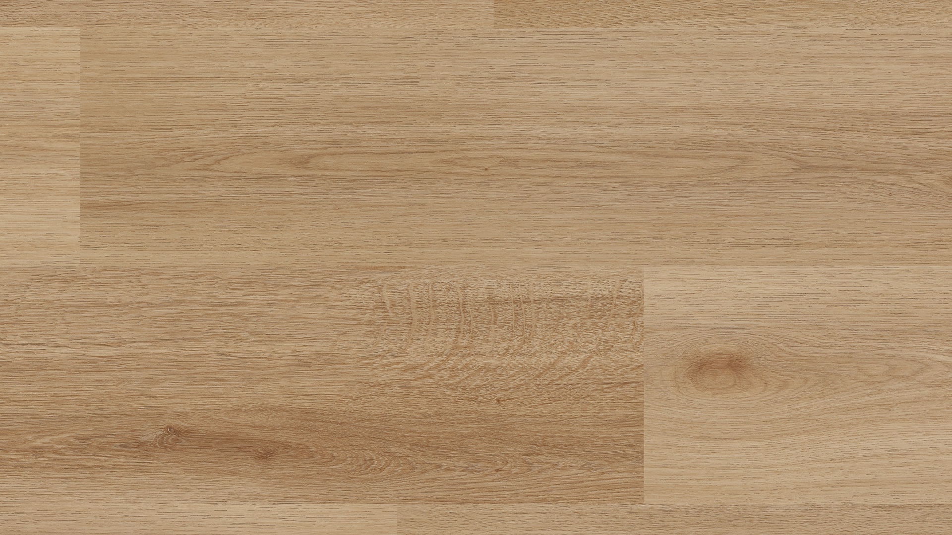 Pardoseala SPC, 41582 Stejar Monument, colecția Afirmax