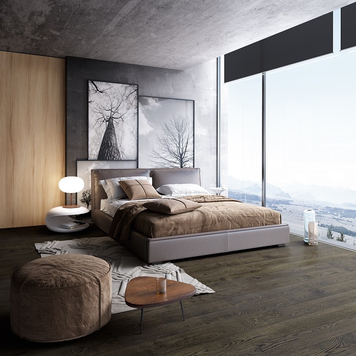 Parchet 11169, Stejar