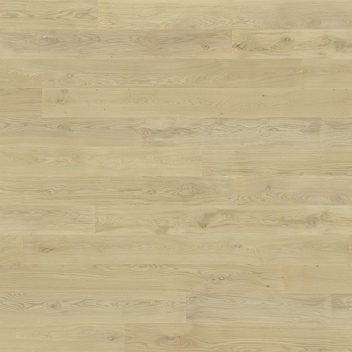 Parchet 11164, Stejar