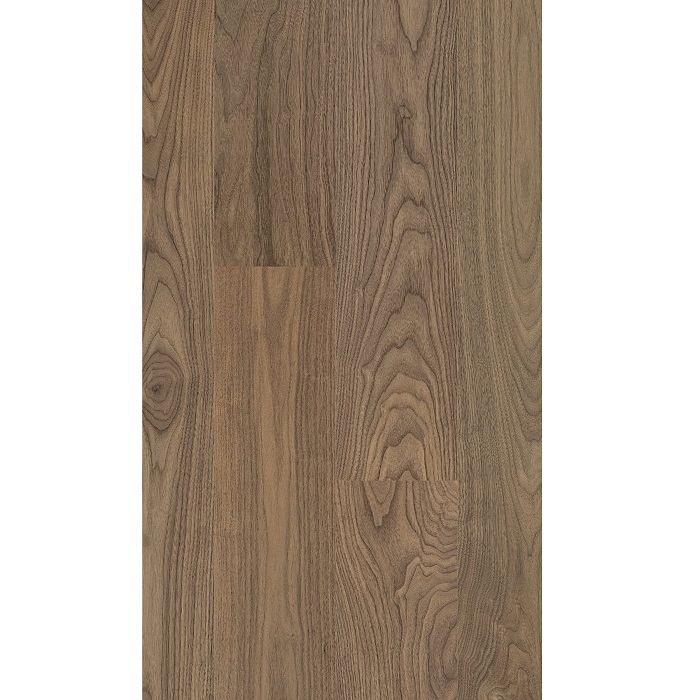 Parchet 36001 Nova, Nuc