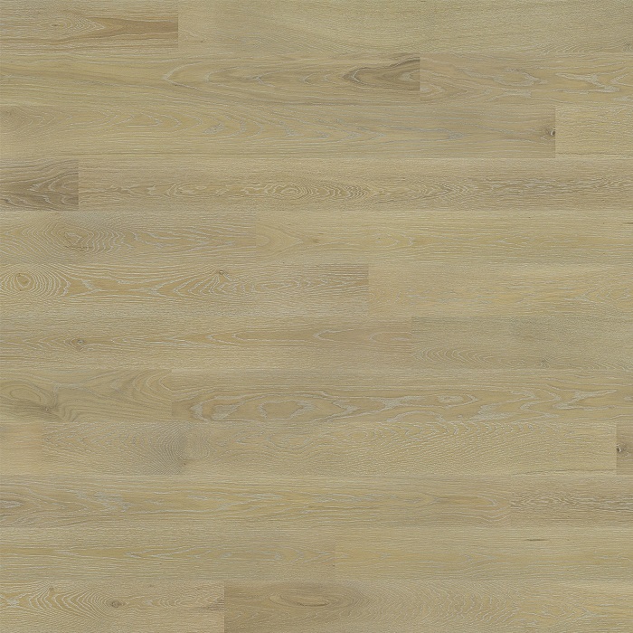 Parchet 11098, Stejar