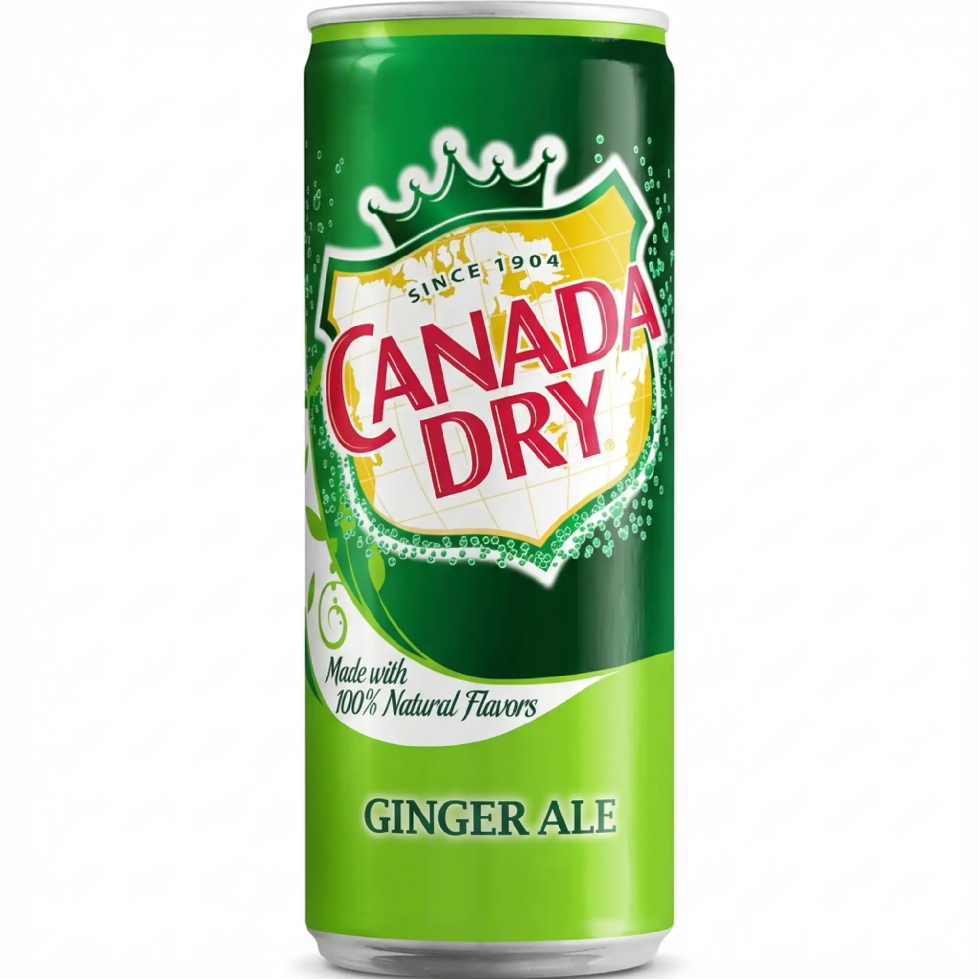 Bautura racoritoare Canada Dry 0.33l doza