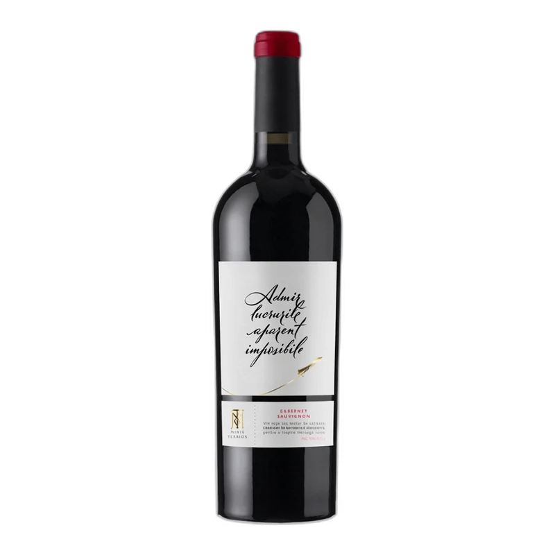 Красное сухое вино Minis Terrios Cabernet Sauvignon 0.75L