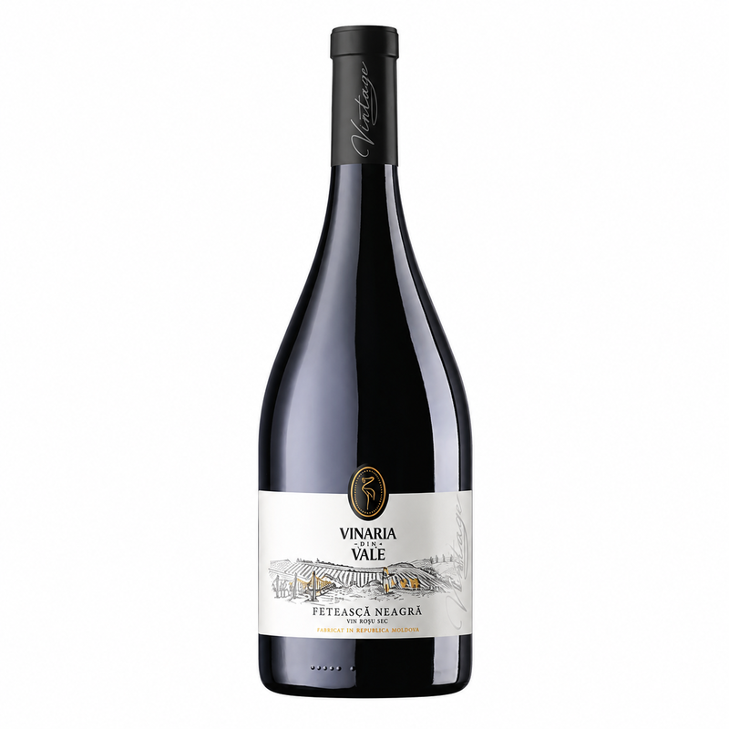 Vin rosu sec VINARIA DIN VALE VINTAGE Feteasca Neagra 0,75L